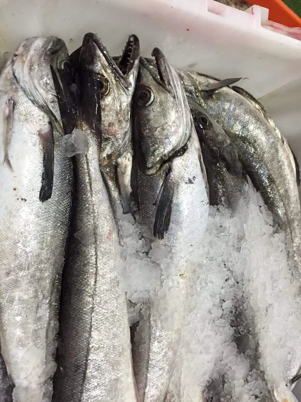 Skiathos Fish Market display counter at 48 Ethnikis Antistaseos, Skiathos Town